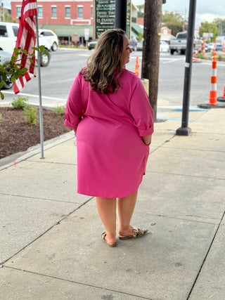 A Line Fuchsia Dress