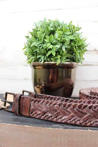 A brown leather belt with a buckle, placed on a wooden surface next to a potted green plant.