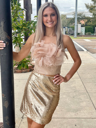 Rose Gold Sequin Skirt