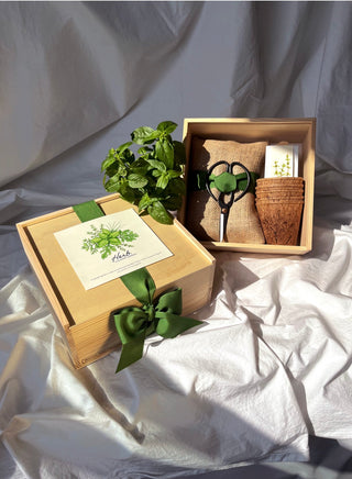 Gift box with plant, scissors, and other items on a white fabric background
