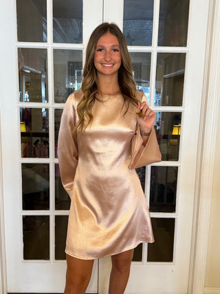 Satin mauve, long sleeve dress￼