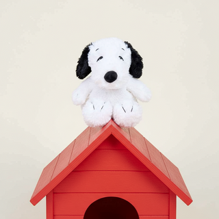 Red dog house with snoopy on top