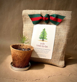 Potted tree and burlap bag with a ribbon on a brown background