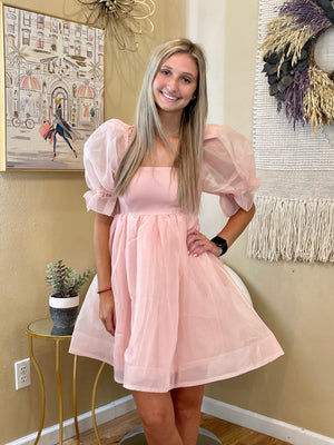 Baby Pink Tulle Dress